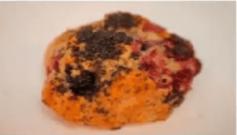 Spelt Berry Scone
