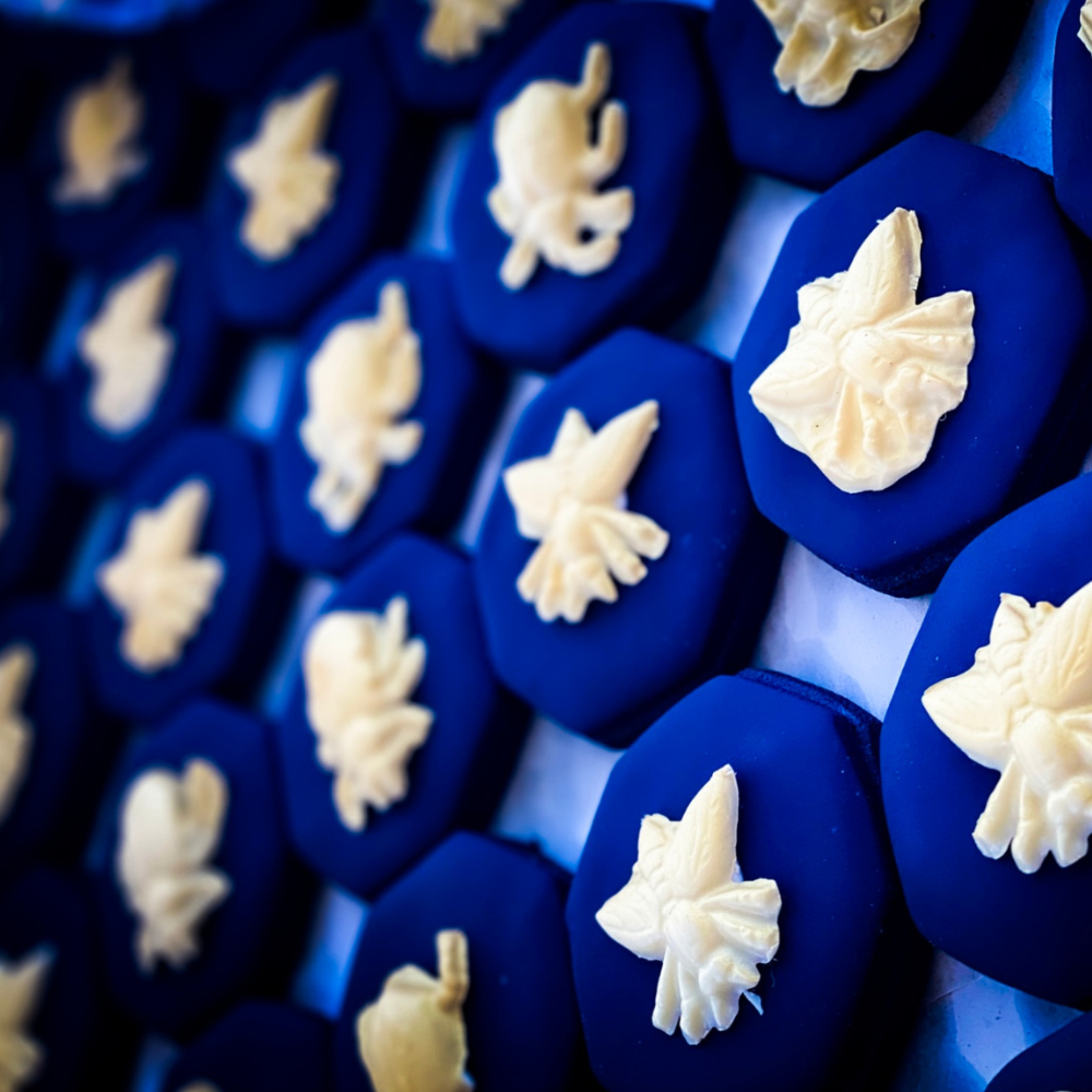 Custom Sugar Cookies Individually Wrapped