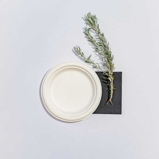 Bio Pac Plate / Napkin