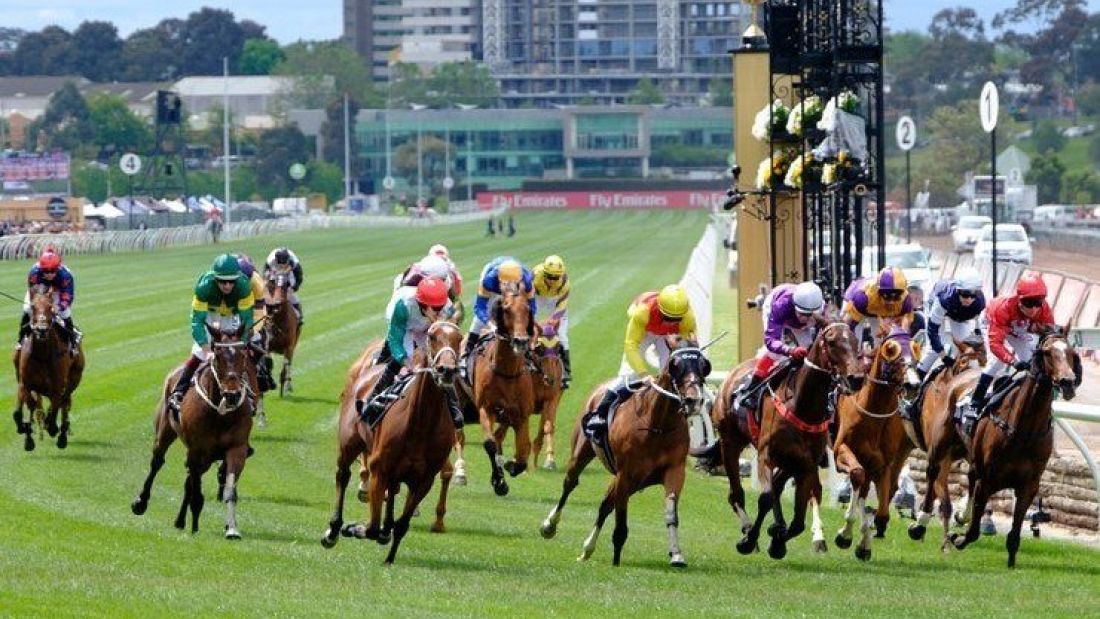 Your need-to-know guide to the Melbourne Cupalcoholic