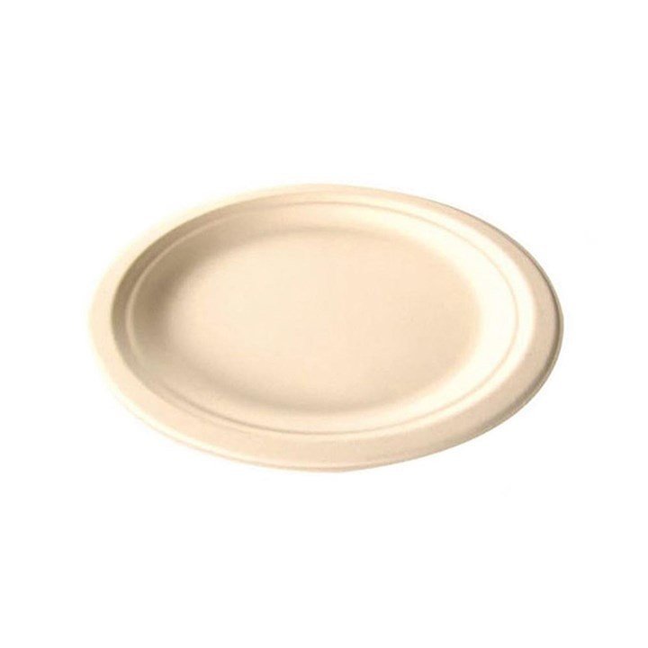 Disposables: 6" Plate