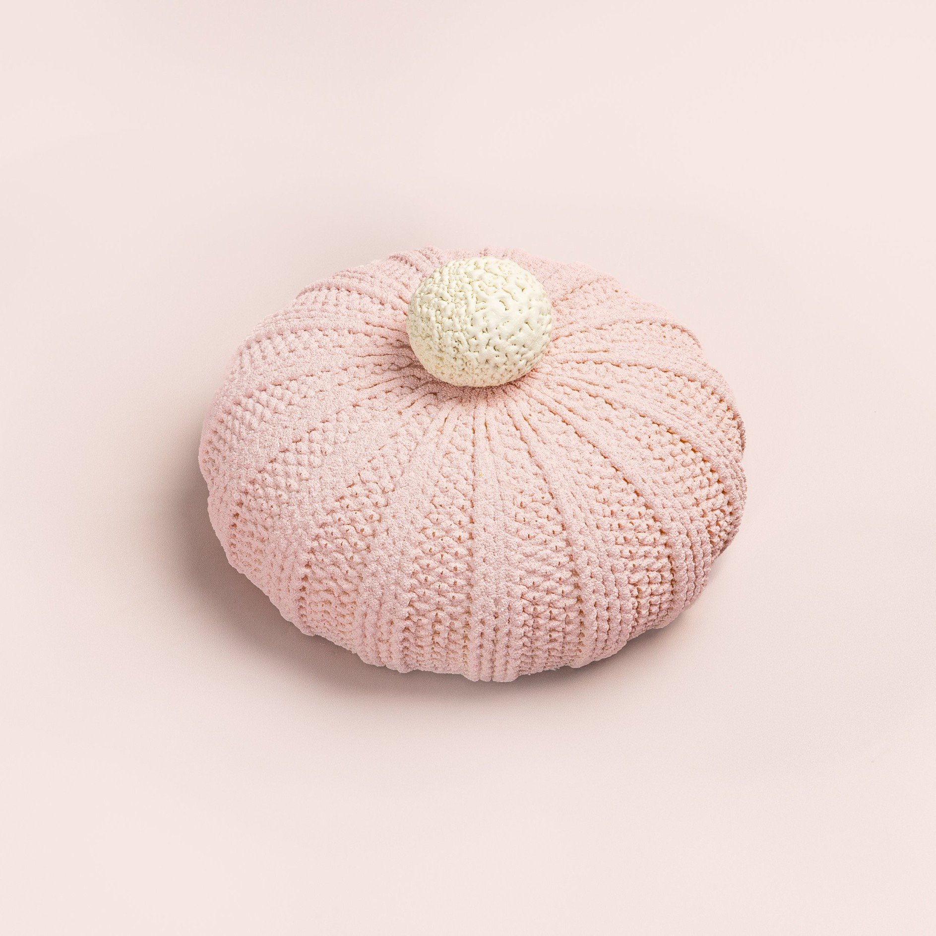 Sculpted Beanie Cake 