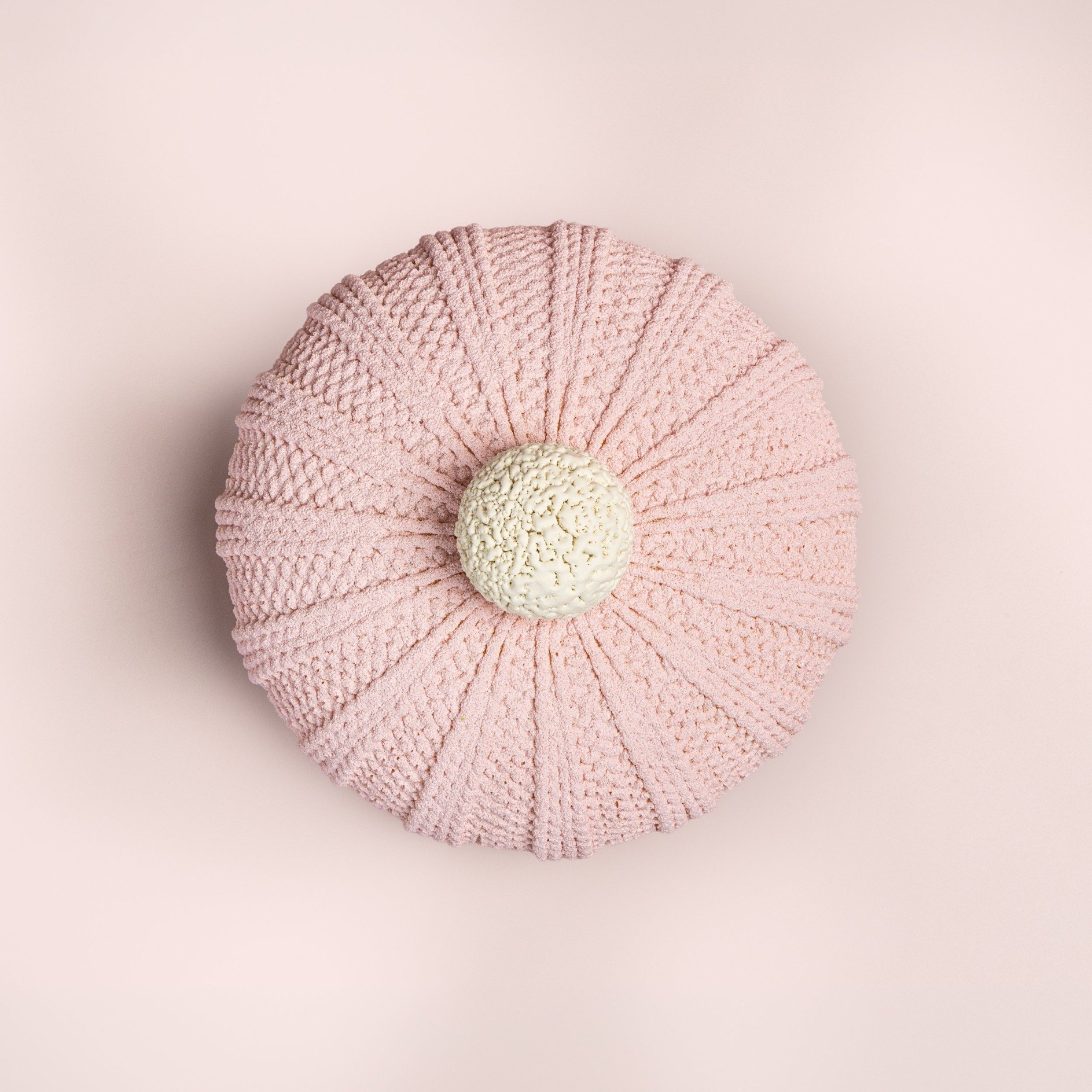 Sculpted Beanie Cake 