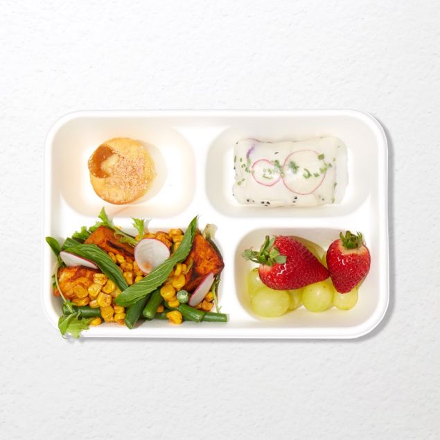 Light Bento Lunch for One