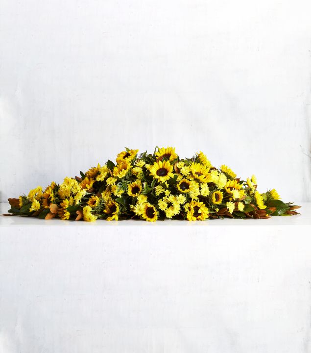 A13-Casket Cover (range $600 - $800)
