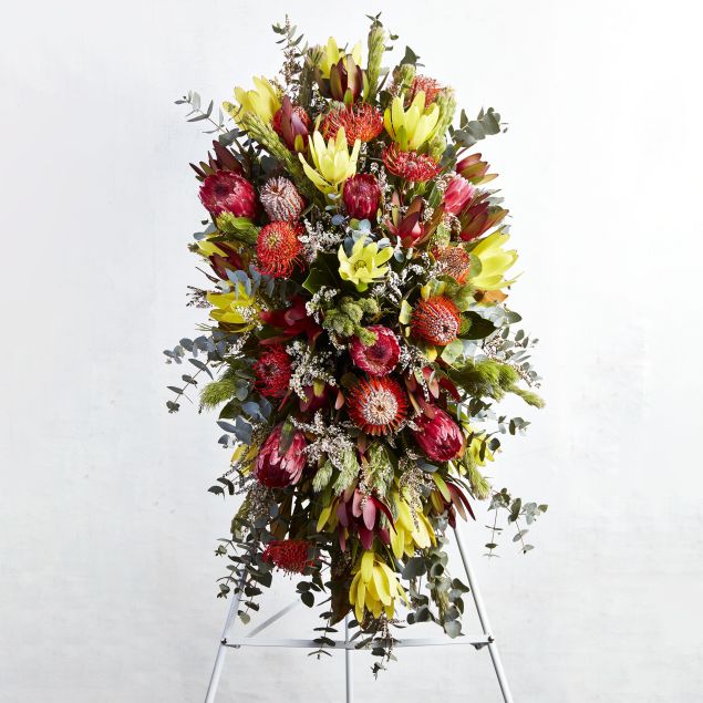 B03-Standing Spray Premium Native