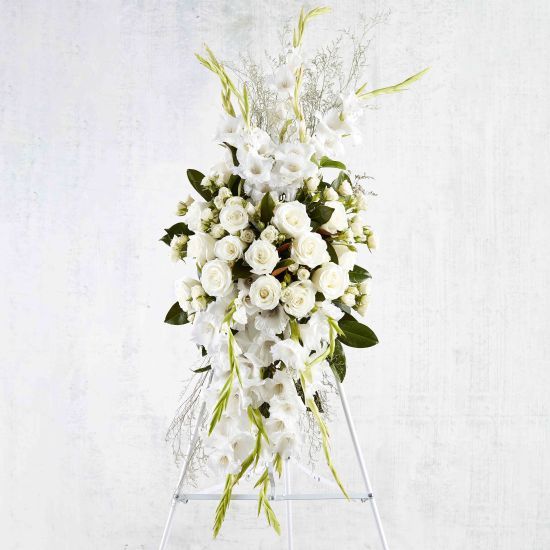 B02-Standing Spray Premium White