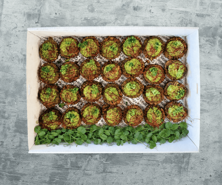 Plant-Based Savoury Bites (Box of 28)