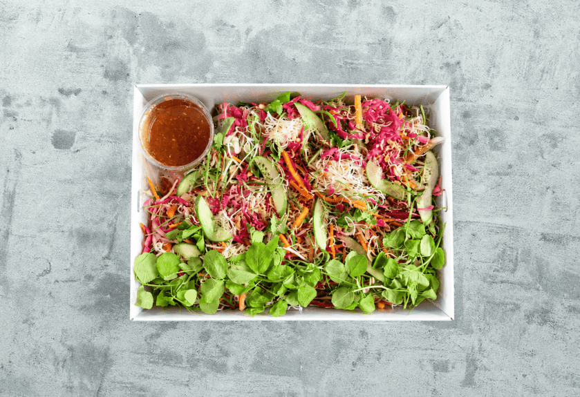 Salad - Rainbow Rice Noodle 