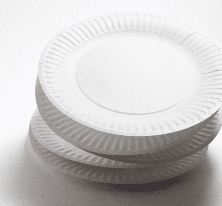 Disposable Plates Main Size (Per/Person)