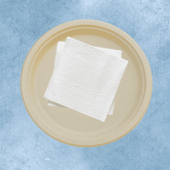 Disposable Plates & Napkins