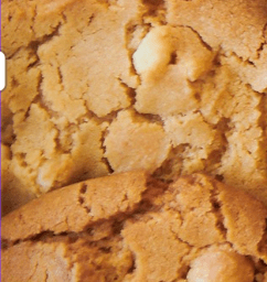 White chocolate and macadamia cookie