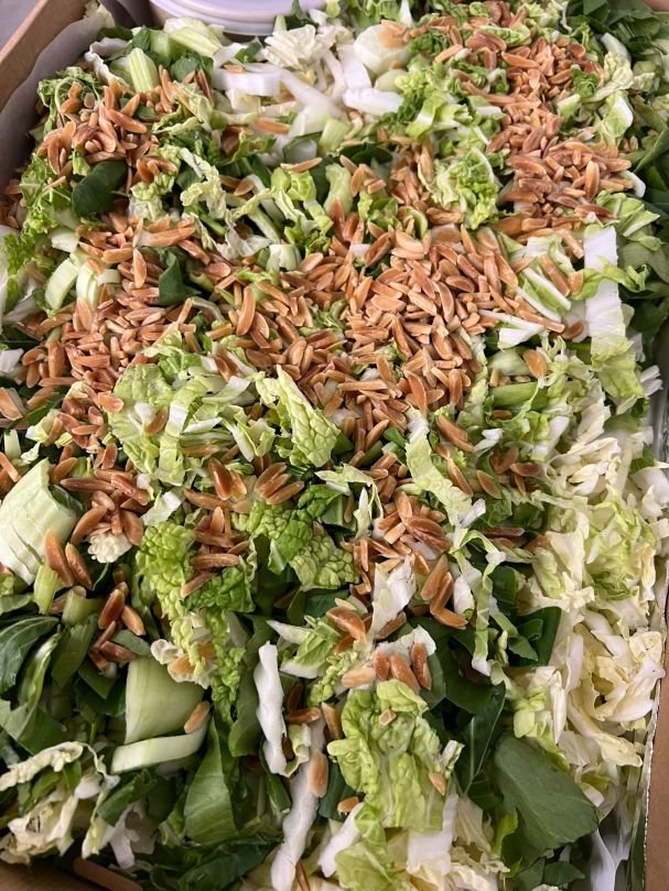 Asian Noodle Salad From $13.20