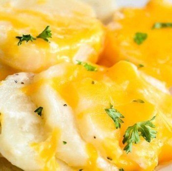 Scallop Potatoes From $66
