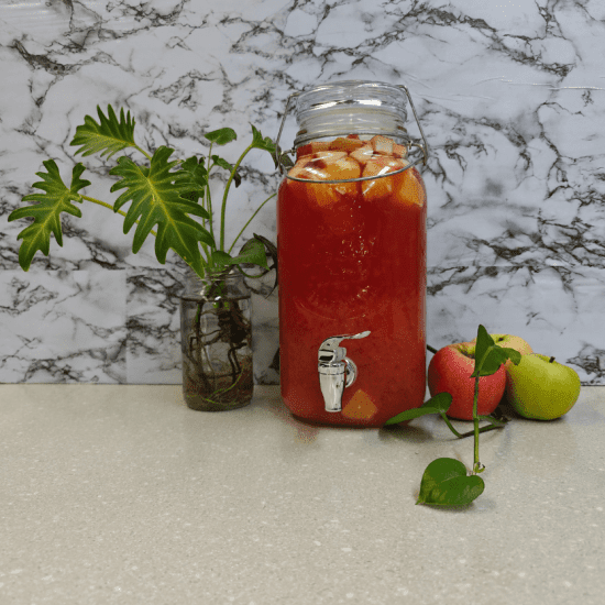 Cranberry Sangria Mocktail