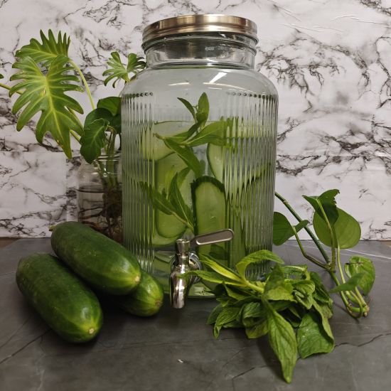 Cucumber & Mint Water