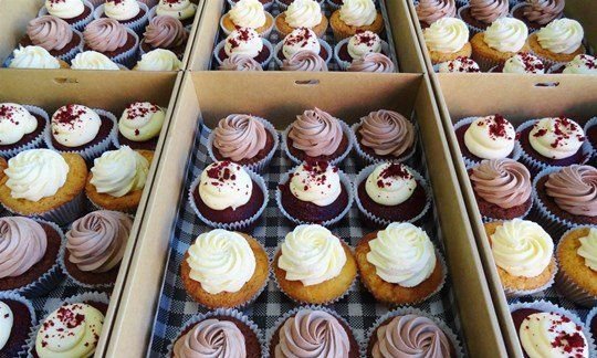 Mixed Cupcake Box - Small