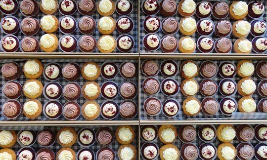 Mixed Cupcake Box - Large