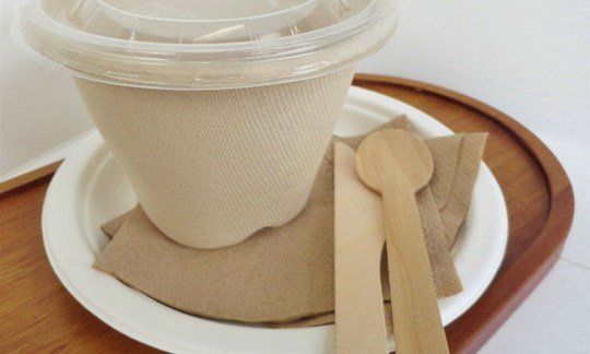 Bowls, Spoons and Napkins for Soup - Compostable