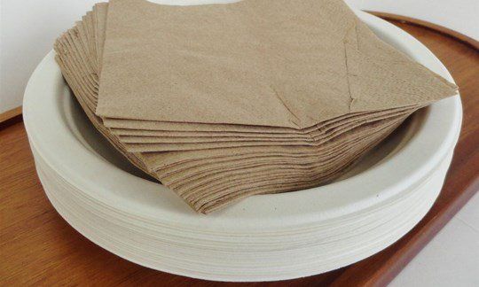Small Plates and Napkins - Compostable