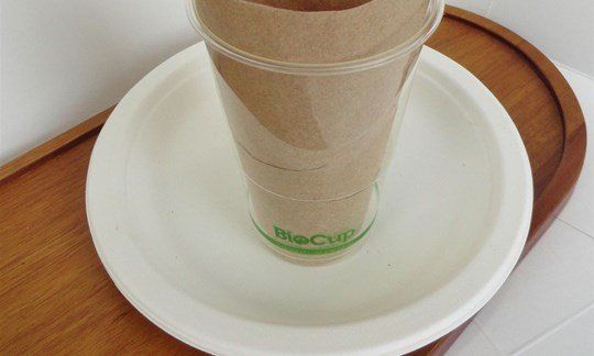 Plates, Napkins and Bio-Cups - Compostable