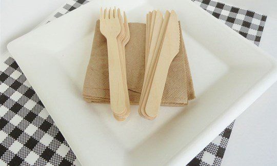 Large Plates, Cutlery and Napkins - Compostable