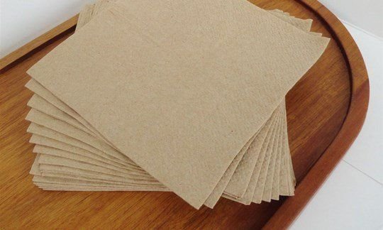 Napkins - Compostable