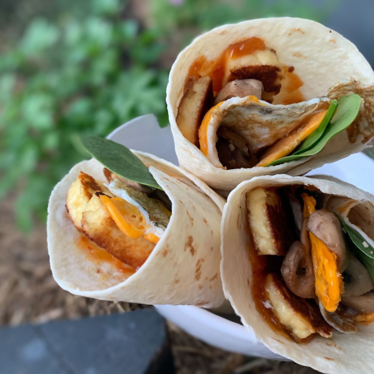 Vegetarian breaky wrap warm