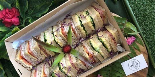 Gourmet Sandwich Box