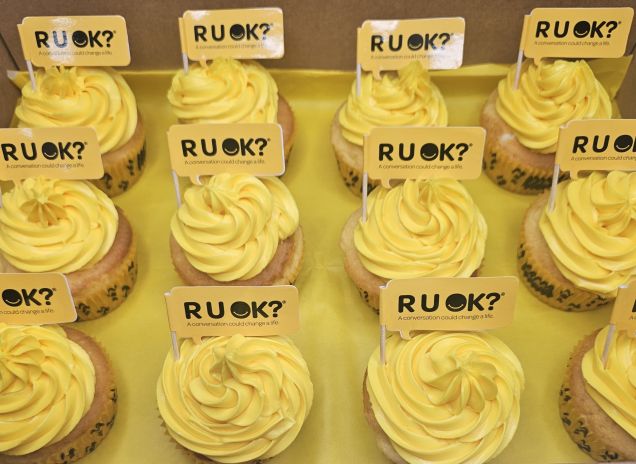 R U OK carrot cupcakes