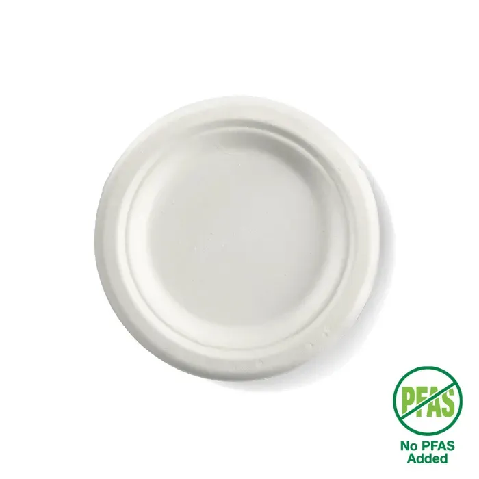 Disposable Plate
