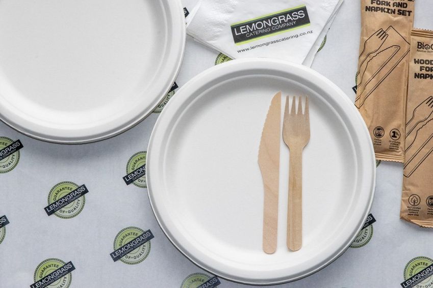 WHITE BIODEGRADABLE DINNER SIZE PLATE 