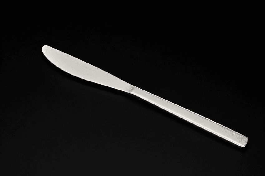 FORTIS ELOFF 18/0 TABLE KNIFE