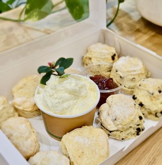 Individual Plain Scones, Butter, Jam & Cream