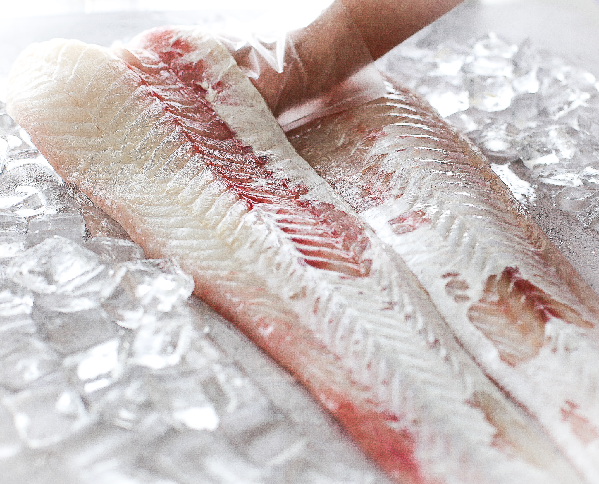 Fillets - Pink Ling 500Gram