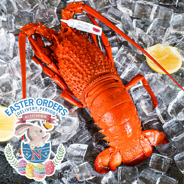 Cooked Eastern Lobster 800g (EASTER)