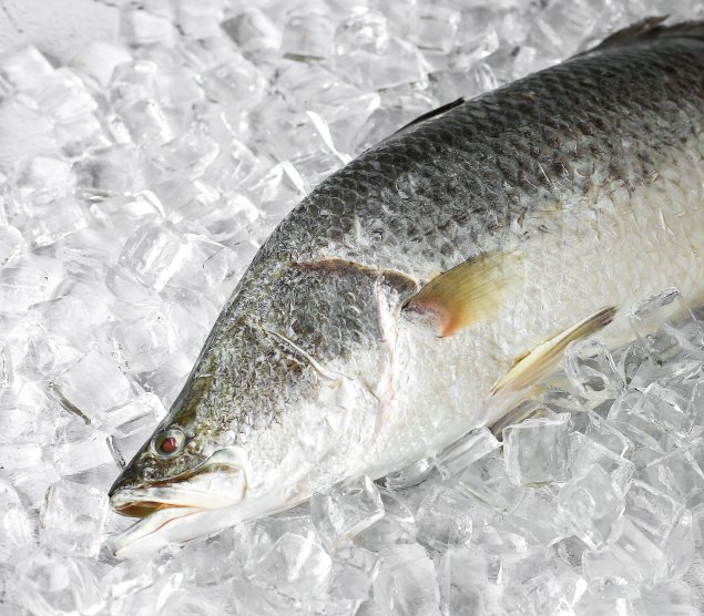Whole Fish