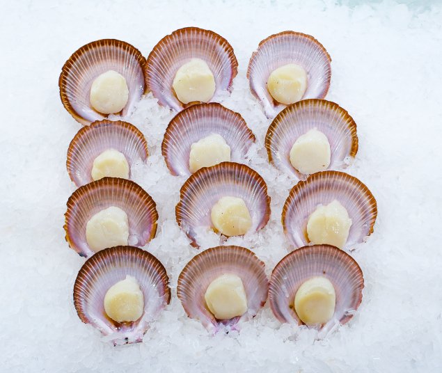 Original Scallops Roe Off Half Shell Scallops Roe-Off (1 Dozen)