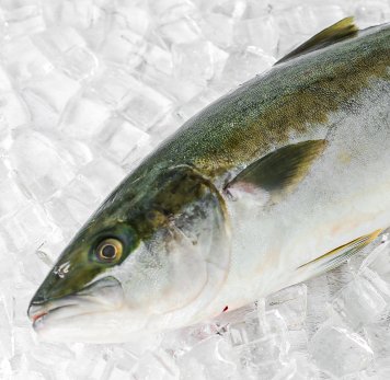 Whole Fish
