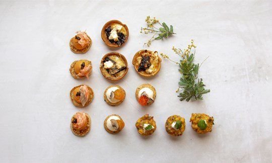 Satisfied Canape Selection - Precinct Choice