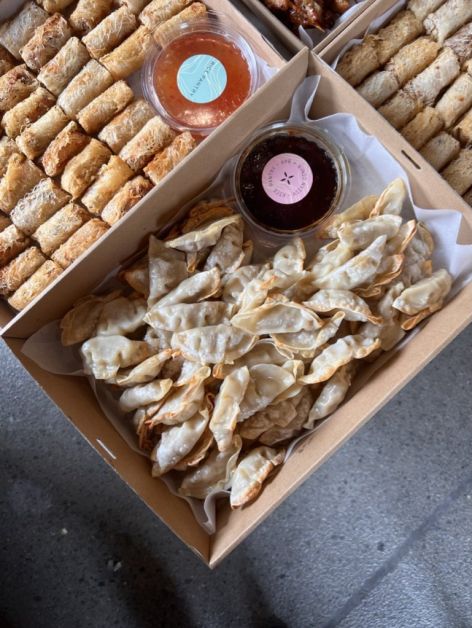 Chicken & Mushroom Dumplings