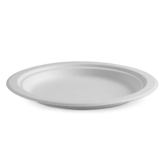 Round Disposable Plate 