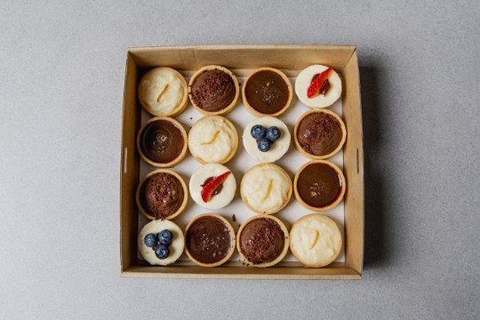 Sweet Tartlets & Mini Cheesecakes Pack of 16