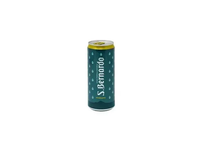330ml Sparkling Water