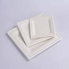 Disposable Biodegradable Dinner Plate