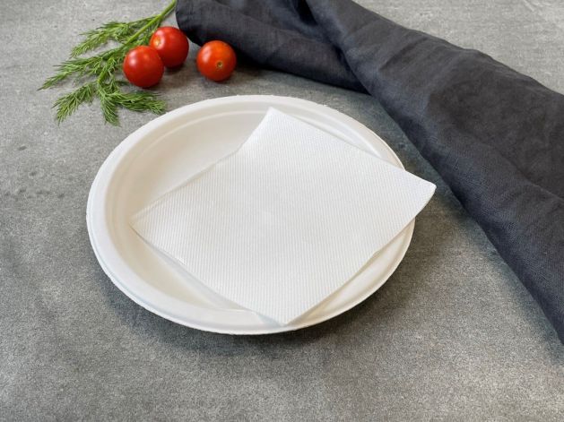 Biodegradable cocktail plate & napkin