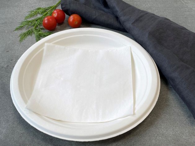Biodegradable dinner plate & napkin
